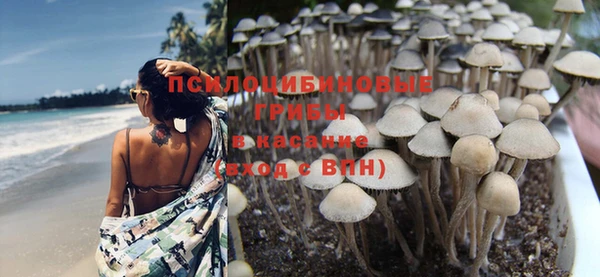 мет Новозыбков